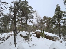 Øst for Sørsneisa