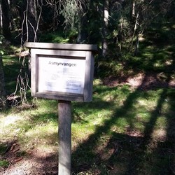 Asmyrvangen