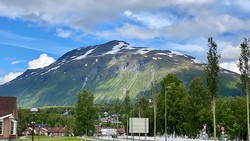 Gråhøgda
