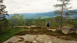 Ertekollen