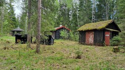 Huldrekolonien