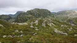 Svartavassnuten