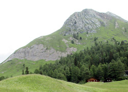 Moaalm