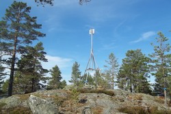 Røysa
