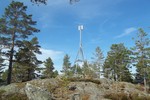 Røysa