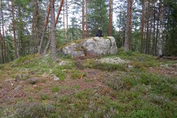 Borgeren