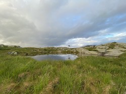 Almlifjellet