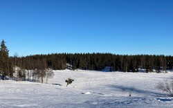 Øvreseter
