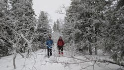 Vangskampen