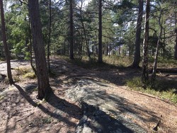 Ullerudflaket