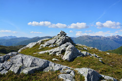 Geitskardnuten