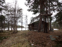 Gubbtjønnbua