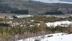 Søre Botnhaugen