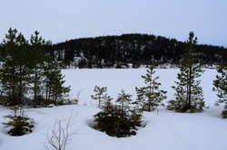 Høgåsen
