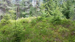 Villåsen
