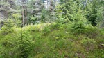 Villåsen