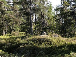 Langvassbrenna Sørøstre
