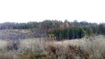 Topphøgda