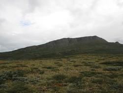 Såleggje