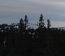 Korstjernknatten