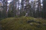 Raudberget