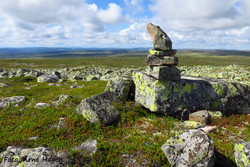Myklesjøvola