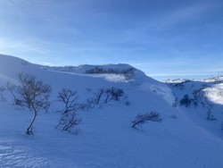 Haugsnuten