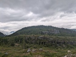 Leirmohovden bomveg