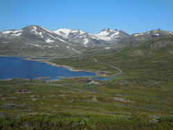 Tyinholmen