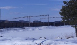 Åleborgåsen Øst