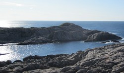 Nesvarden