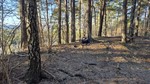 Veitåsen