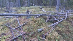 Eikeberget