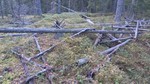 Eikeberget