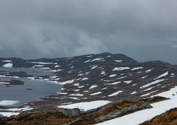 Taløynebba