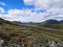 Ingulsjøen