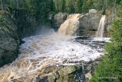 Tørbustilfallet