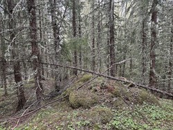 Sandstadkammen