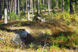Hagastuberget