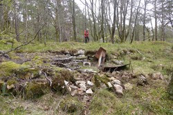 Steinhytten (ruin), Kanadaskogen