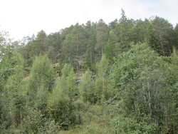 Storåsen