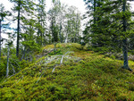 Vollmyråsen