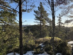 Jomfruås