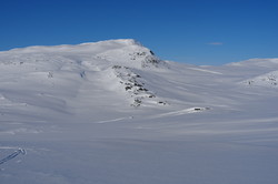 Nursfjellet, Noeresfiellie