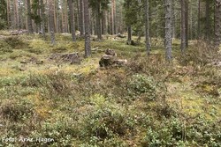 Bronkmoberget