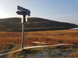 Bjødalskampen sør