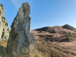 Gravenstein
