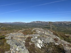 Tjuvdalshalla