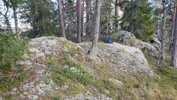 Gampedalsbrenna