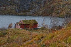 Storavassbu